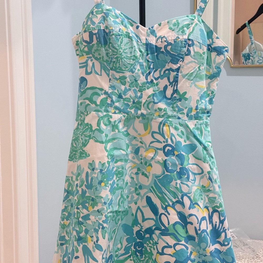 Lily Pulitzer Dress - Picture 2 of 4